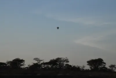 DSC_3738 (Large).JPG